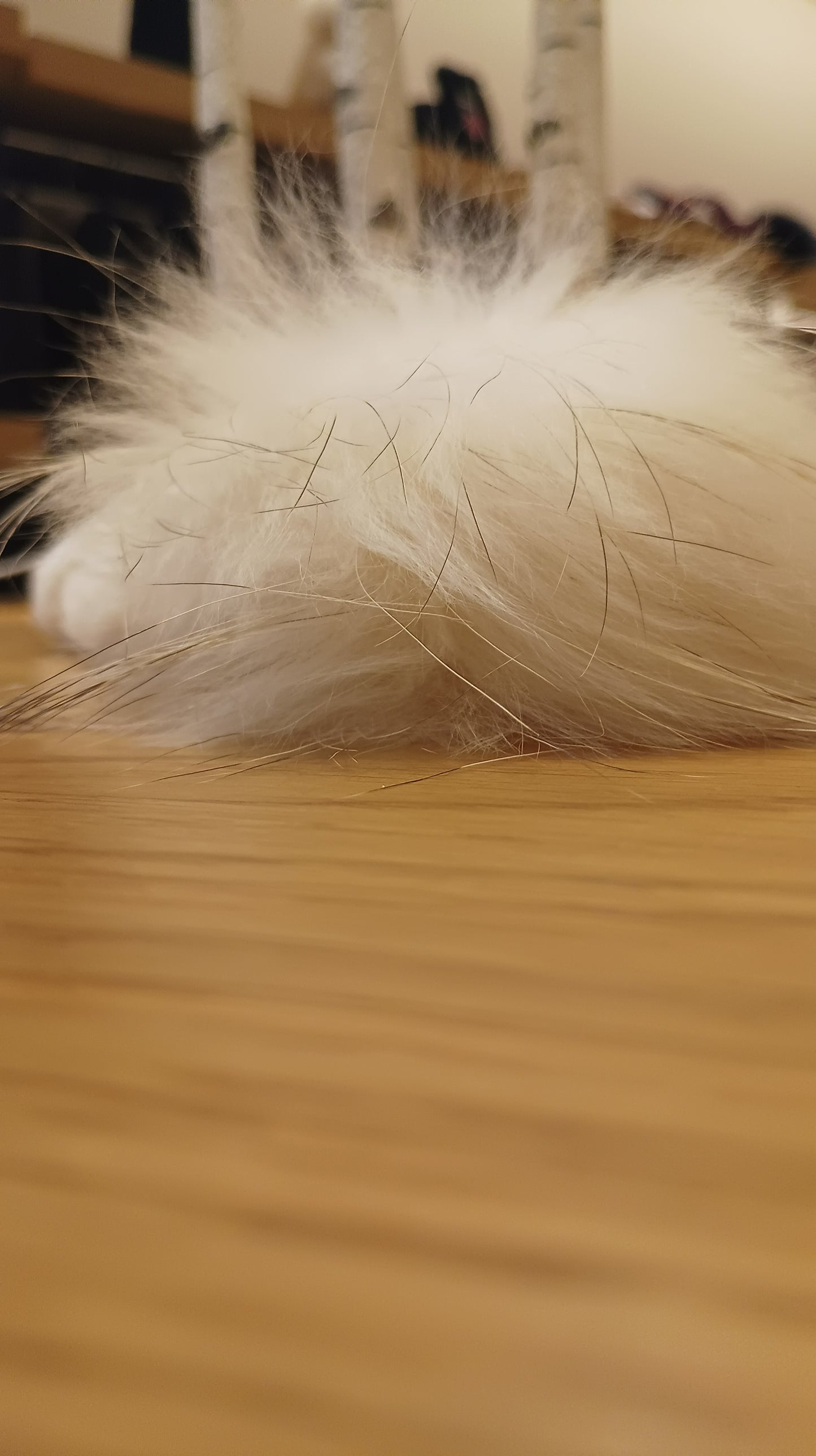 cappello con pon pon in murmaski vlab